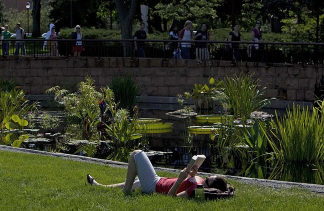 A student is lying on the grass reading a book beside a pond on campus, with people walking in the background.